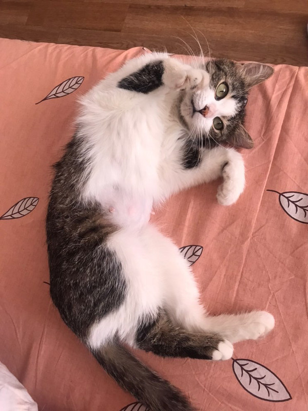 F52E3DD3-5A7C-4467-AB31-BD6A00A3A5DC