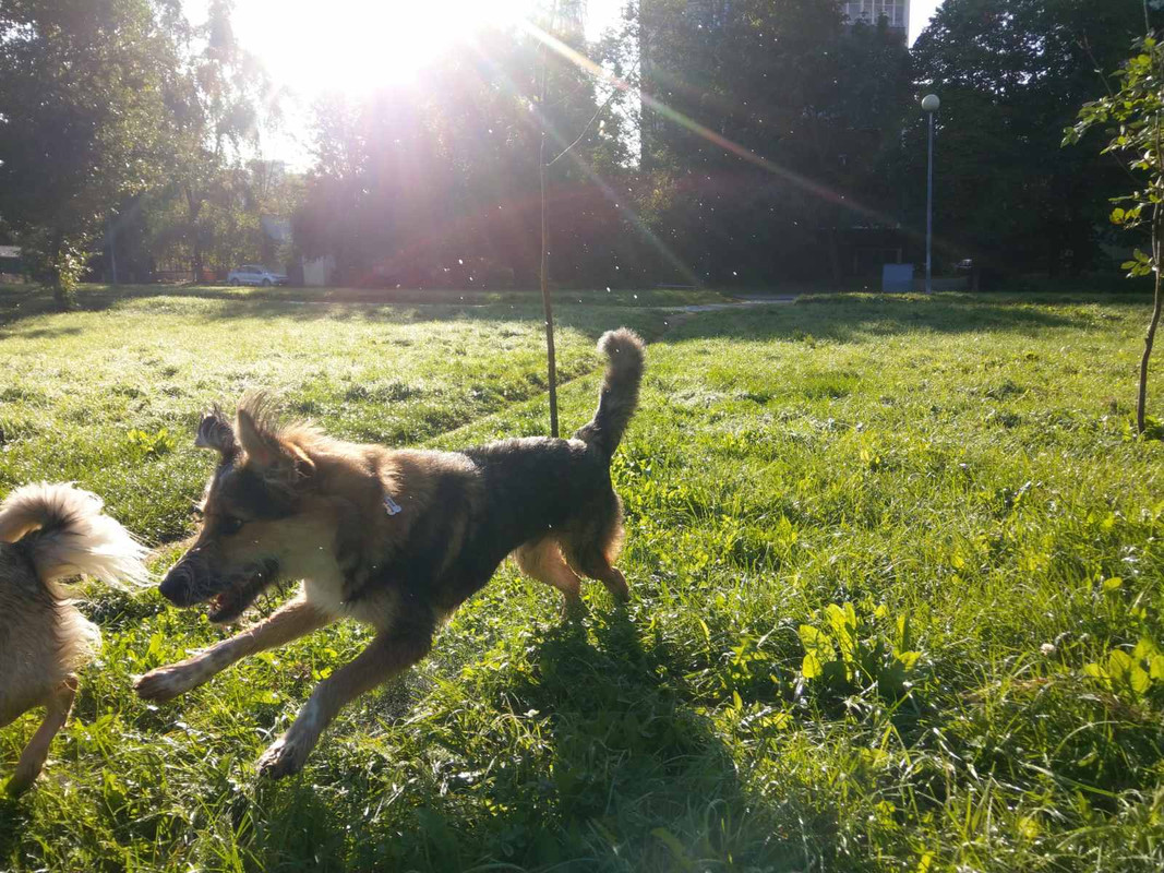 изображение_viber_2020-09-21_10-20-07