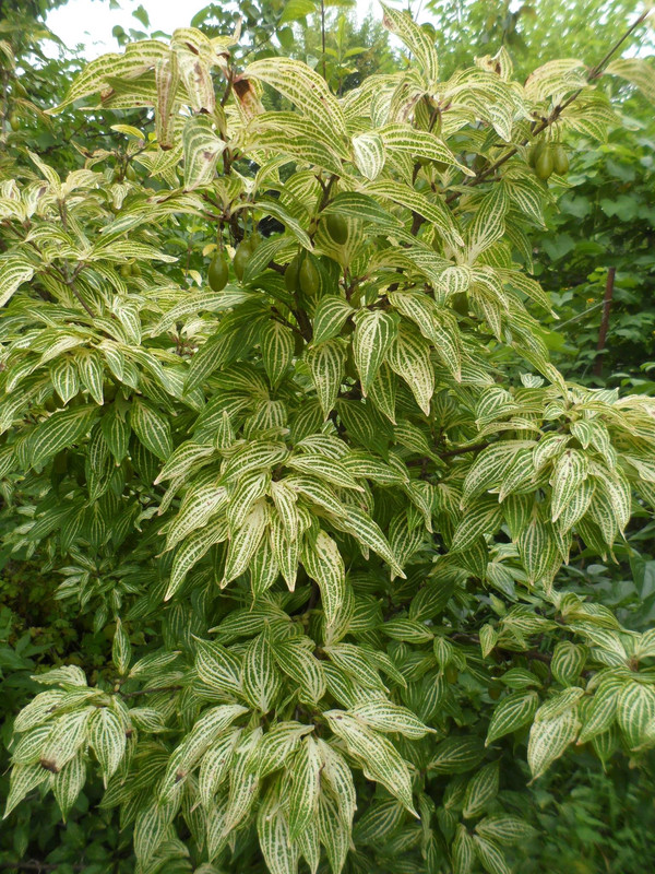 C2279BA5-AA3B-48DE-9D20-851C5C1665AE