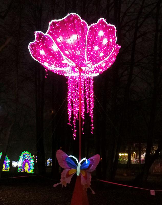 https://i.postimg.cc/FHxGpkY7/032-IMG-20191226-164600.jpg