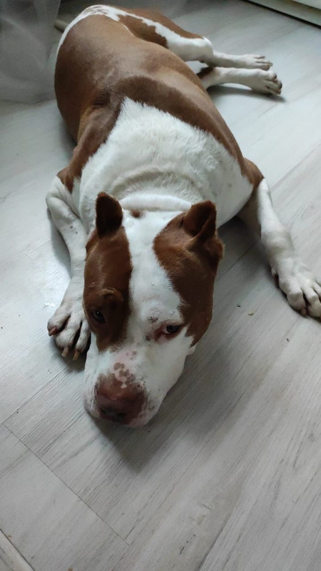 AED3588D-E482-4CA0-8FE3-5467F1864C2C