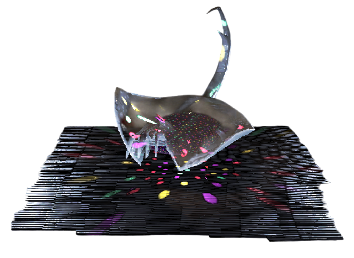 Discowater-Funkfish.png