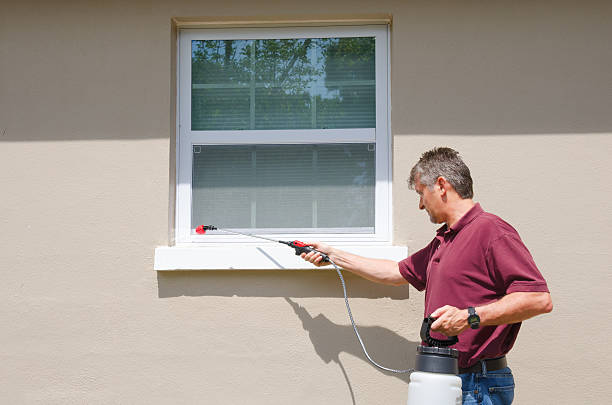 Pest Control Kissimmee