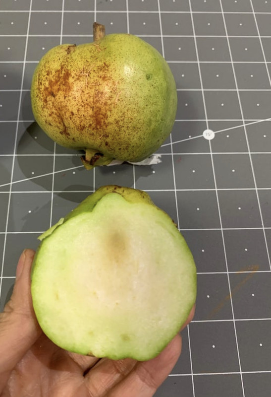 965361F6-BE85-46AC-B90E-26C158B0CAD1