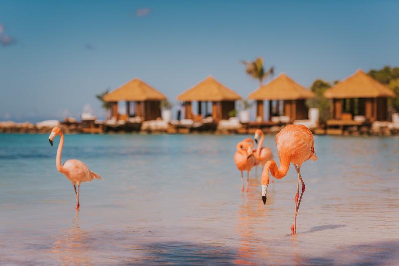 Aruba, ABW