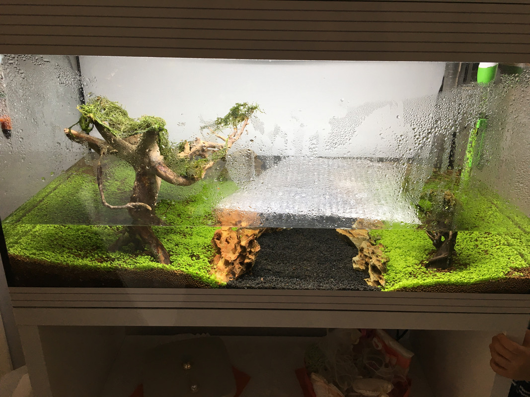 8E574F6D-4995-40F1-9925-4F20D9AE12B9