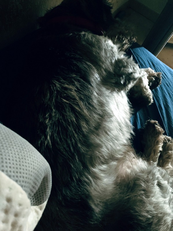 [Image: IMG-0933.jpg]