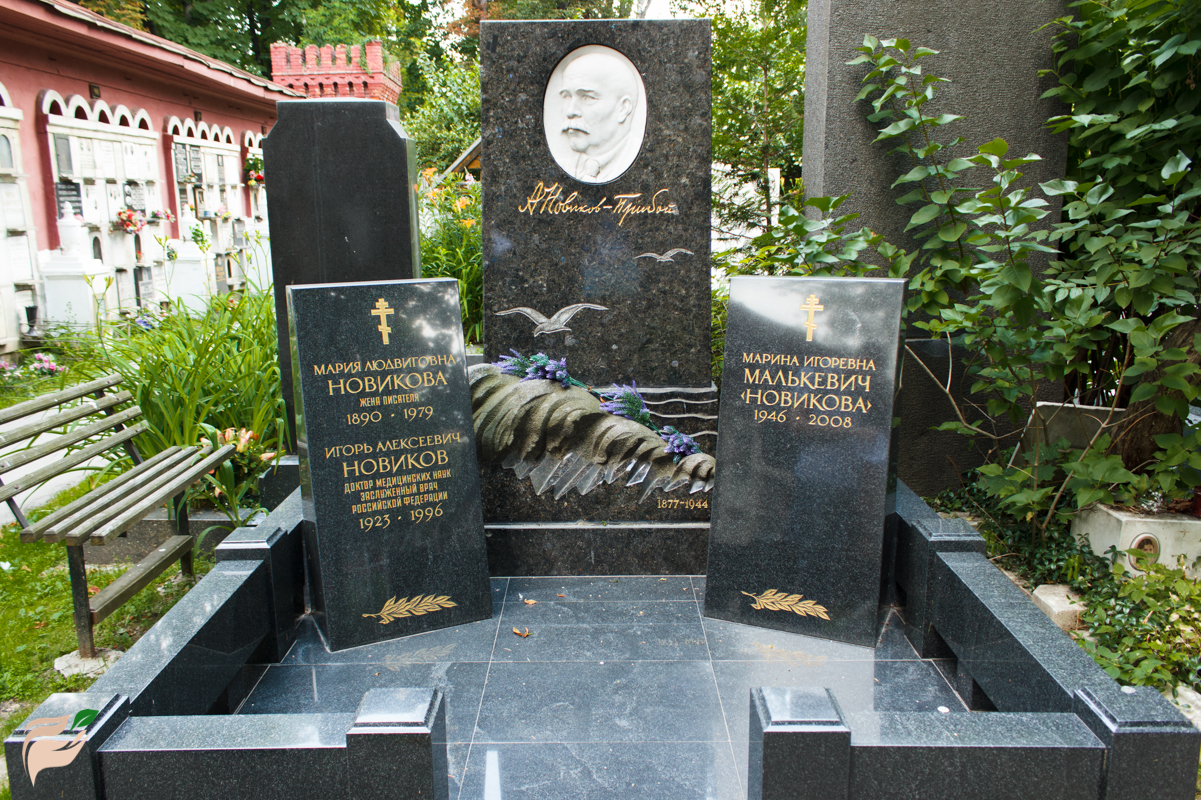 novikov1