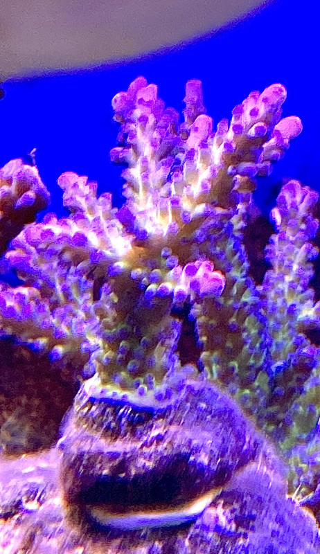 18FECA9E-82BD-4BA3-9F51-D196ED2C8AEC