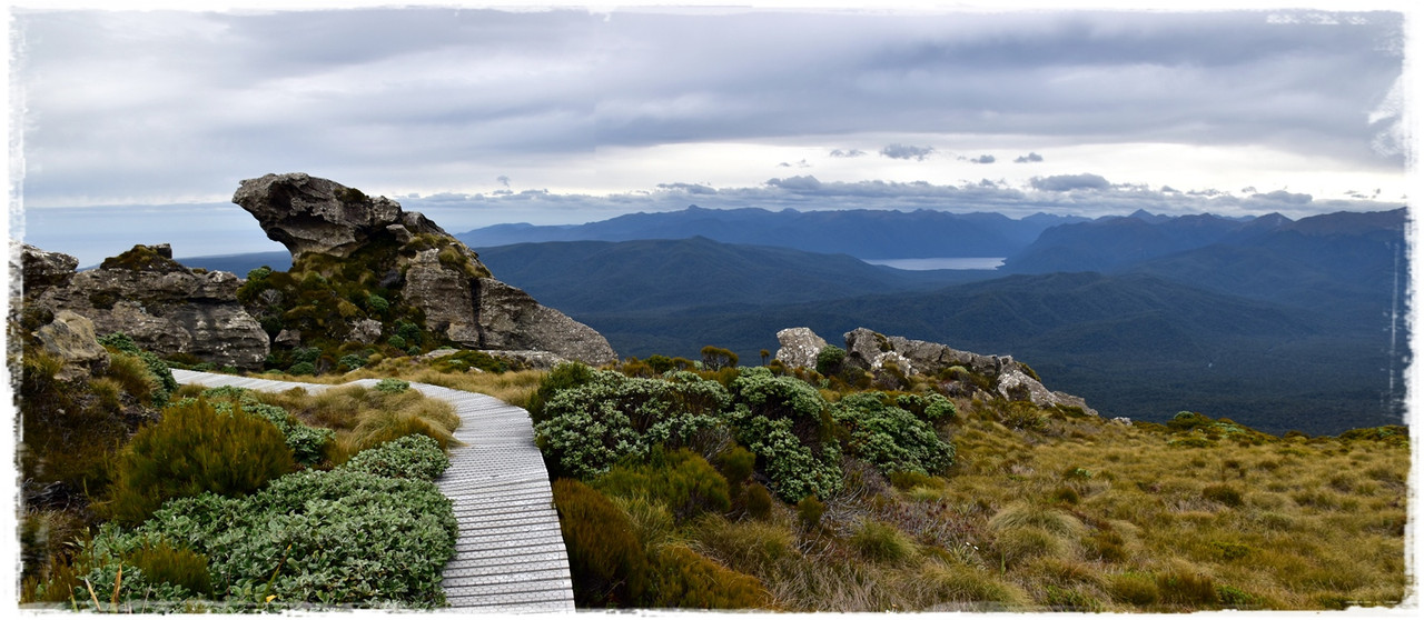 Fiordland NP: Humpridge Track (febrero 2021) - Escapadas y rutas por la Nueva Zelanda menos conocida (26)