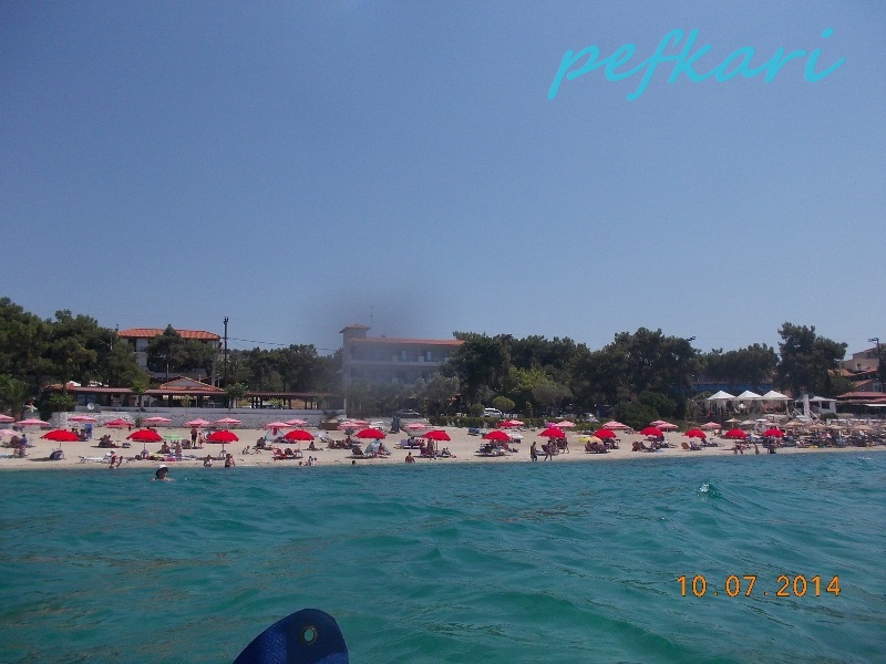Slika