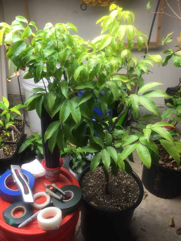 C10CADA4-600B-44DB-83CA-0143AFF63BEC