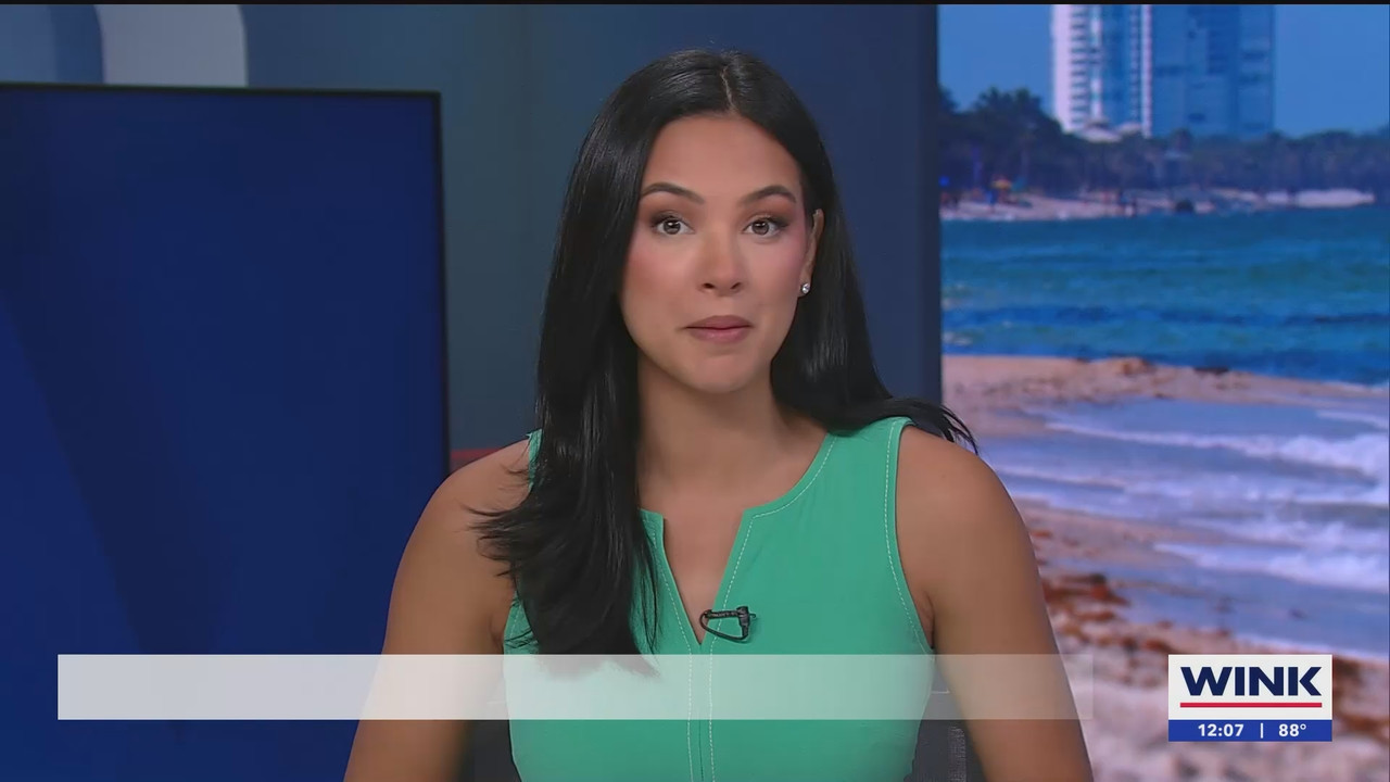 07.02 - 17.00.00 - The WINK Noon News  ᴺᵉʷ. Midday news update..ts_snapshot_08.38.198