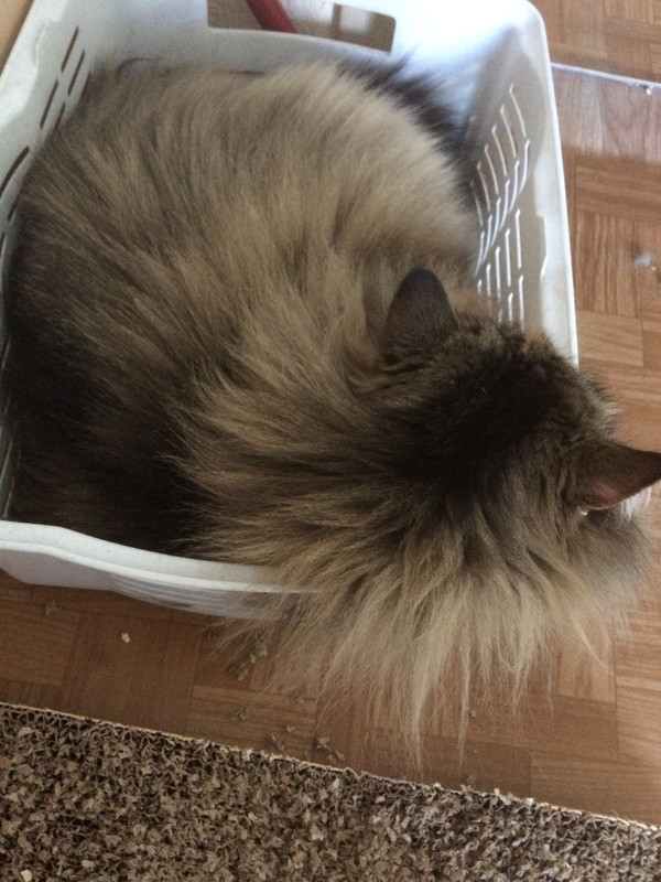 3ADA61AF-F2B9-410D-9873-56B45BE3CAB6