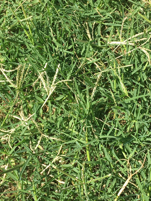 644EDF2C-5707-4E0A-B07F-F8BFC90A5BB0