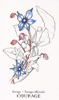 [Imagen: Borage.jpg]