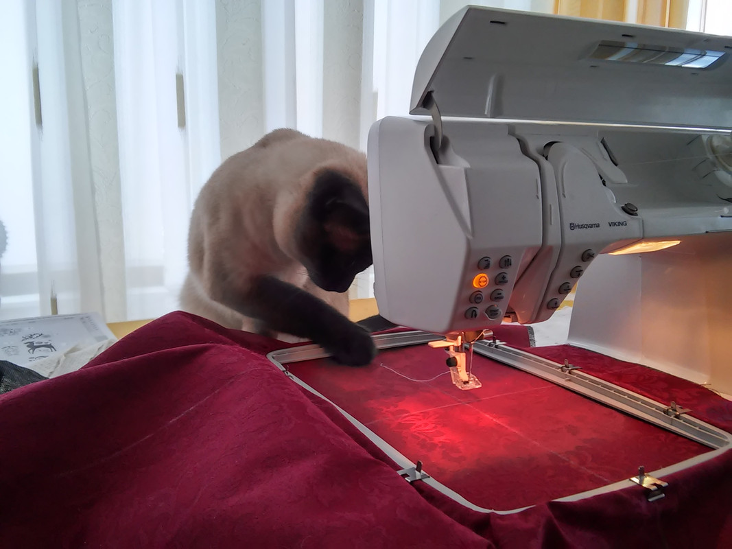 новые фото1 012