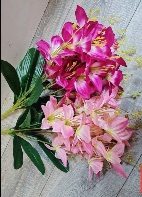 https://i.postimg.cc/FHzs04y4/IMG-20240409-073643.jpg