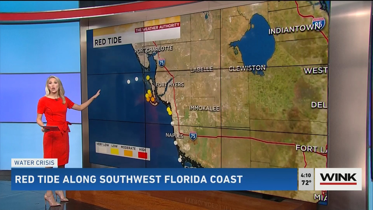 01.21 - 21.00.00 - WINK News @ 4PM..ts_snapshot_00.11.48.359