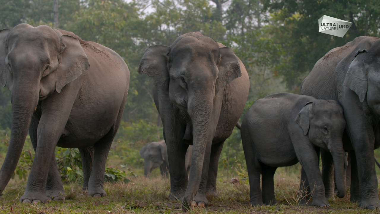 1_0_1F_4B9_23F0_13E_820000_0_0_0_20210312192320