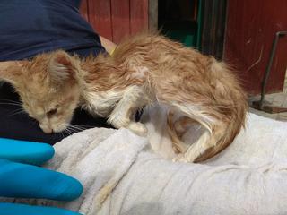 214EB781-17A7-4ED0-91E8-AC9C59BF655F