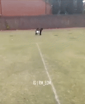 daily-gifdump-3390-30.gif