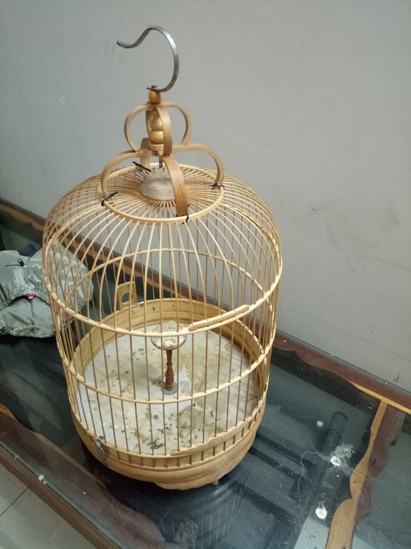 IMG_20230408_194534_074750