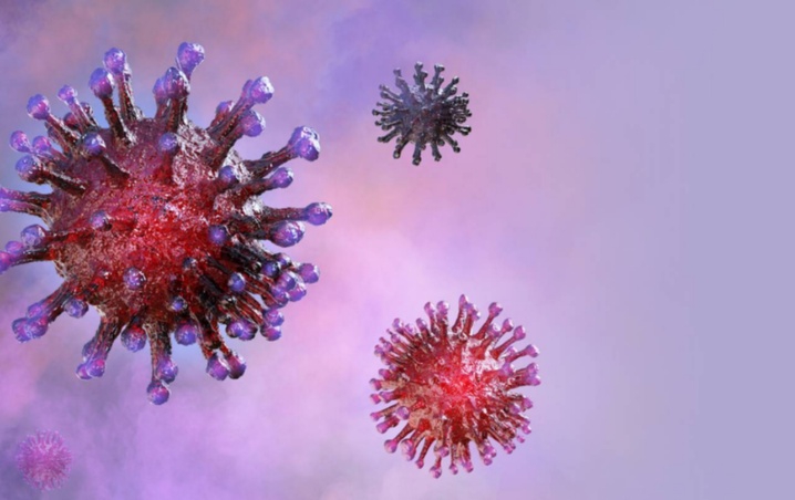 Síntomas, causas y tratamiento del virus de Marburgo