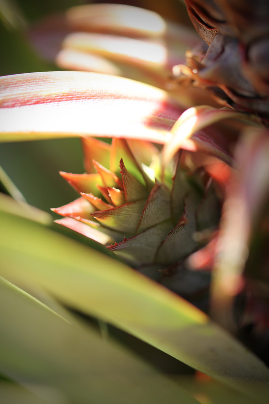 40B0F407-E3E5-4068-97A2-3267082DE486_1_201_a