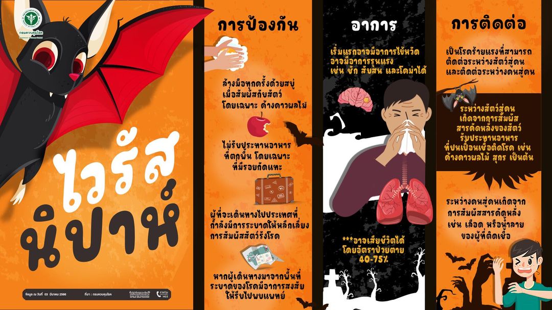 ไวรัสนิปาห์ (Nipah virus) ติดต่ออย่างไร อาการเป็นเช่นไร ป้องกันอย่างไร ?