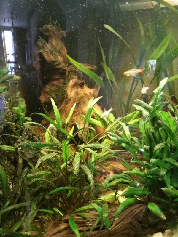 16882906529222161388219035134238