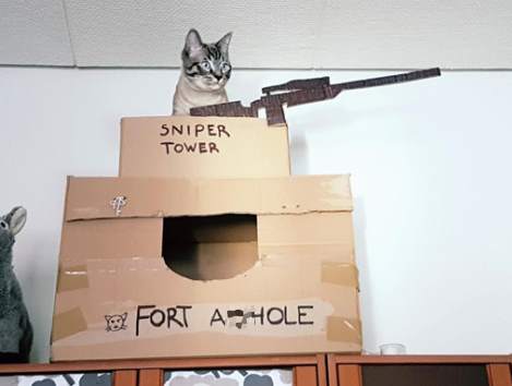 fort-ahole.jpg