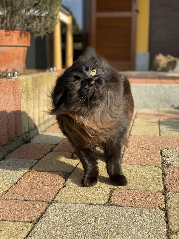 5D26C25D-AE53-4CFF-9730-4C4D468AB1A5