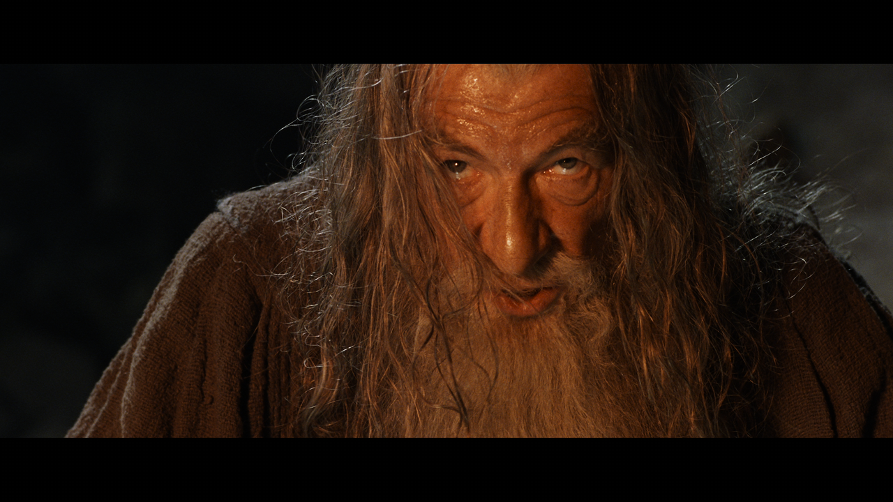 The Lord of the Rings- The Fellowship of the Ring (EXT.).mkv_snapshot_00.40.42_[2020.12.05_22.50.45]