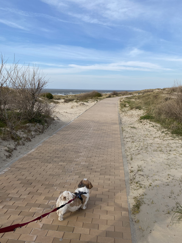 1524528E-F3D5-4FF3-A519-9E52A4134CE5