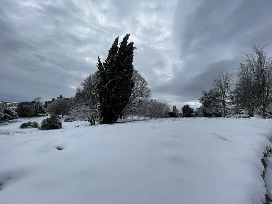 29C03D82-F884-4FA6-9B8D-C82C79F82F1B