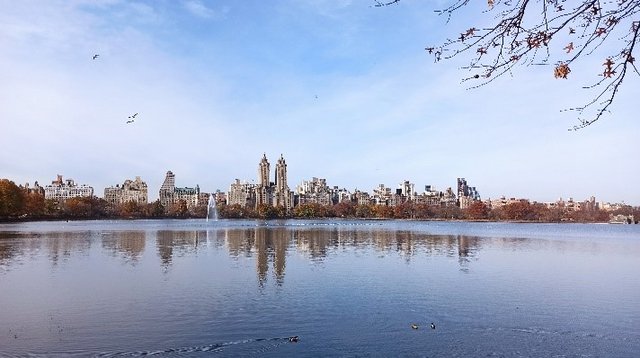 Minidiario de Bitácora IX. Trasatlántico a bordo del MSC Seascape - Blogs de Atlántico - Décimo quinto día, 5 de Diciembre. Nueva York (8)