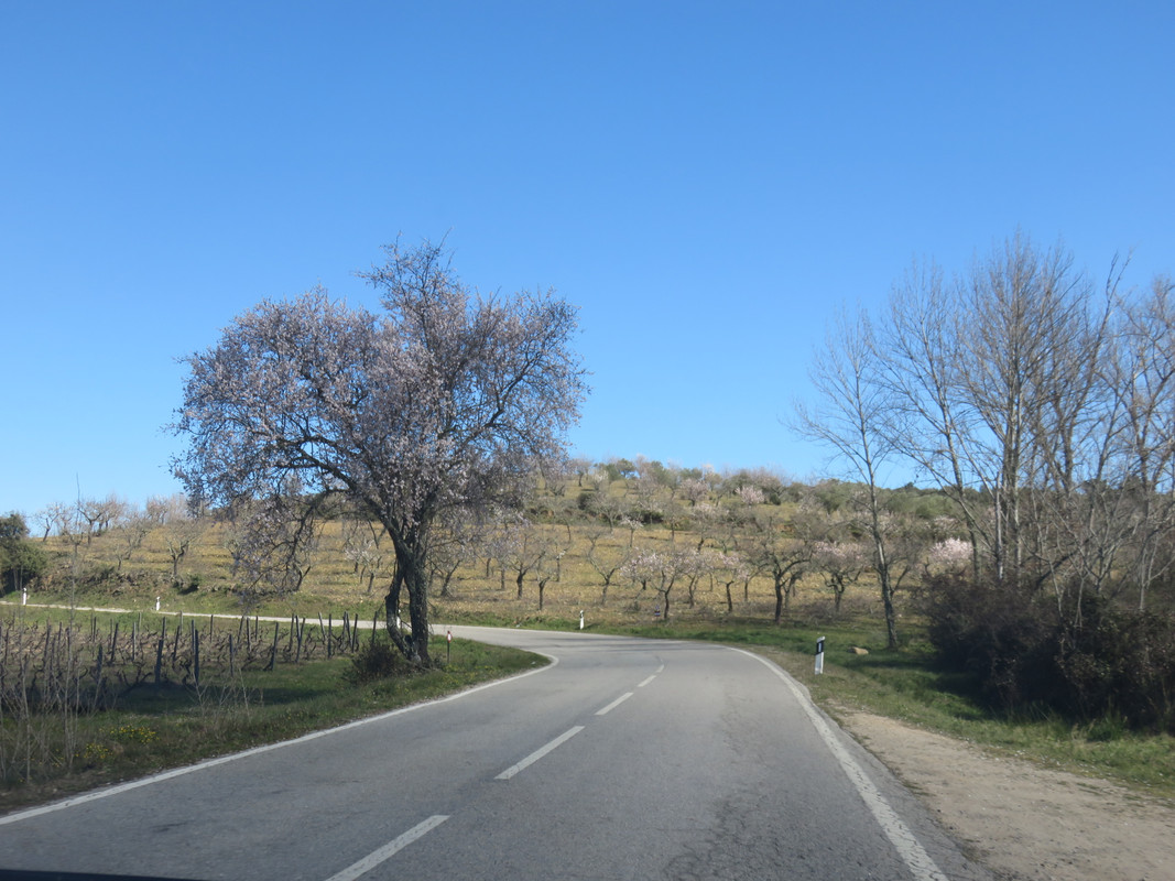 IMG 6631 — Postimages