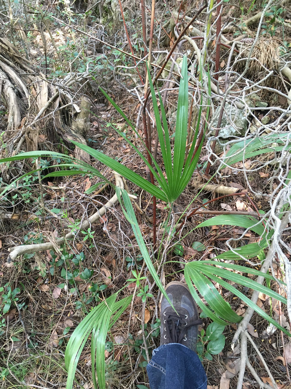 BA88F80A-A45D-4FE9-A340-80CE86657343