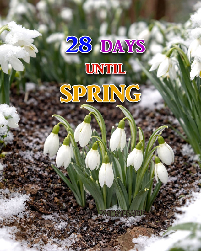 638323745-851478964602016-189884008042520184-n