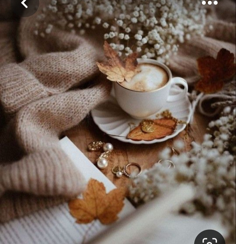 Screenshot_20230603_221718_Pinterest