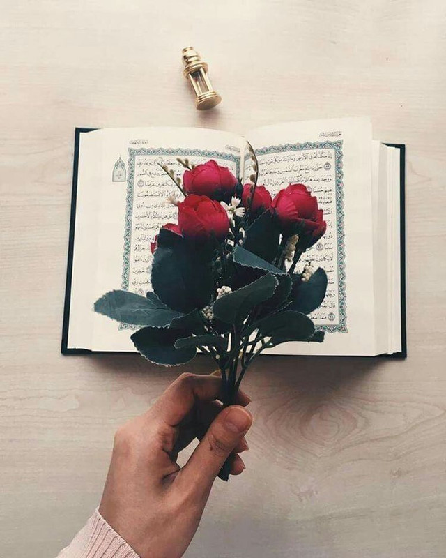 1A6BC53C-3ECA-49A9-92B4-335F1CEDD939