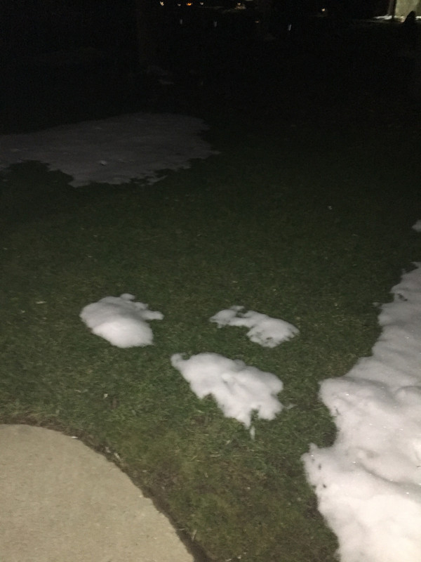 503768A4-1C00-4DA4-AD04-D511FC607154