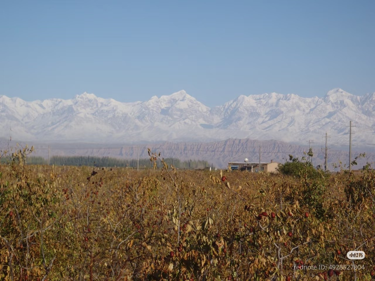 photo 13 2026 01 03 21 22 22