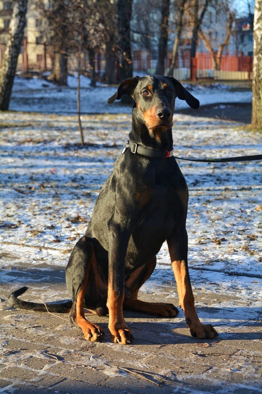 1B33C2DB-918D-42A3-8CDC-D6473D3E3059