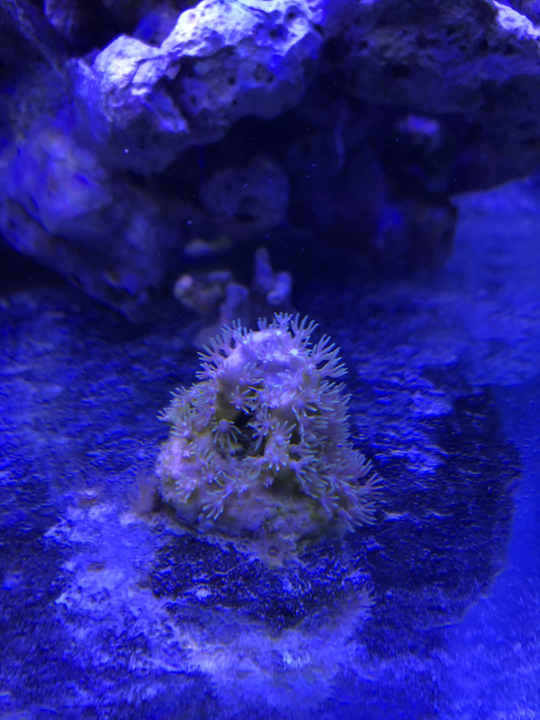 91EE1511-FE58-4D59-9CF5-652E0F2CC59E