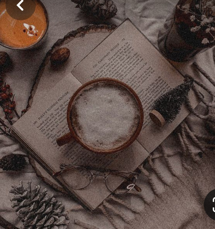 Screenshot_20231122_212535_Pinterest