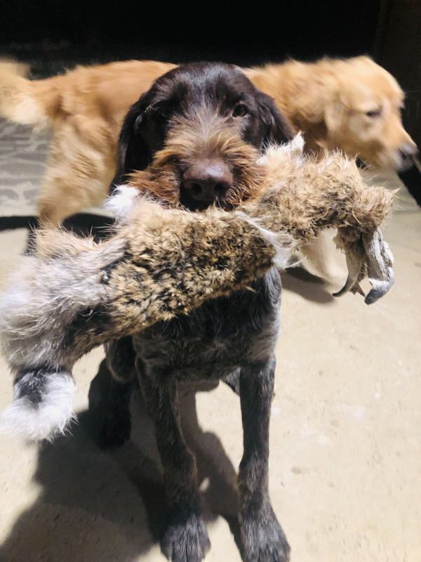 EDB561B7-6B46-4DFA-8706-54B9D4C9D830