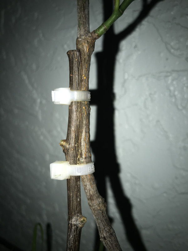 7A0A35C8-4F76-49D5-AEEE-05620873DFEA