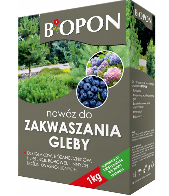 zakwas